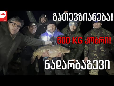 600KG კობრის გაშვება - გათევზიანება N5!